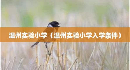 温州实验小学（温州实验小学入学条件）