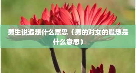男生说遐想什么意思（男的对女的遐想是什么意思）