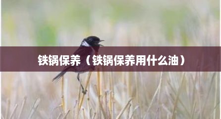 铁锅保养（铁锅保养用什么油）