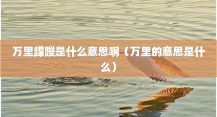 万里蹀躞是什么意思啊（万里的意思是什么）