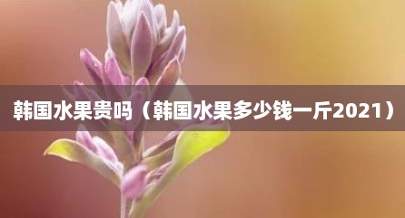 韩国水果贵吗（韩国水果多少钱一斤2021）