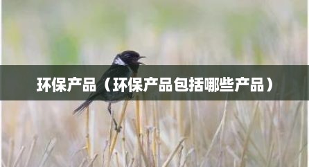 环保产品（环保产品包括哪些产品）
