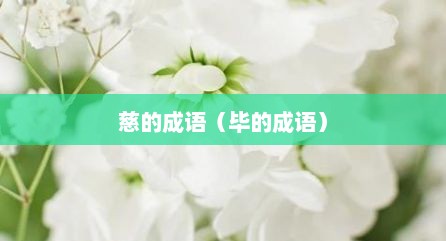 慈的成语（毕的成语）