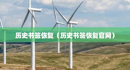 历史书签恢复（历史书签恢复官网）