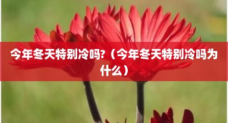 今年冬天特别冷吗?（今年冬天特别冷吗为什么）