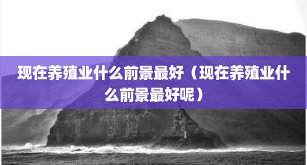 现在养殖业什么前景最好（现在养殖业什么前景最好呢）