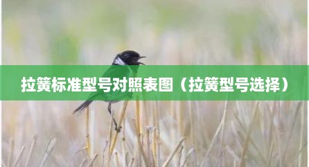 拉簧标准型号对照表图（拉簧型号选择）