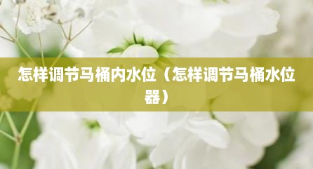 怎样调节马桶内水位（怎样调节马桶水位器）
