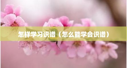 怎样学习识谱（怎么能学会识谱）