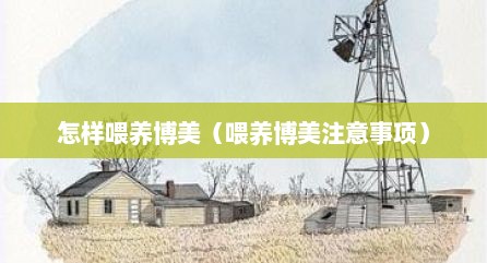 怎样喂养博美（喂养博美注意事项）