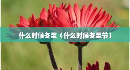 什么时候冬至（什么时候冬至节）