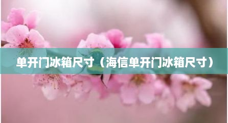 单开门冰箱尺寸（海信单开门冰箱尺寸）