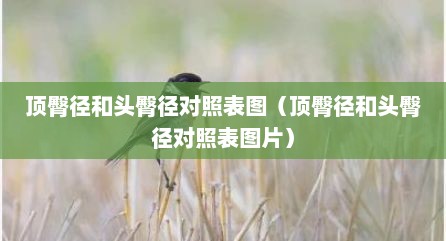 顶臀径和头臀径对照表图（顶臀径和头臀径对照表图片）