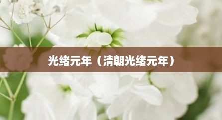 光绪元年（清朝光绪元年）