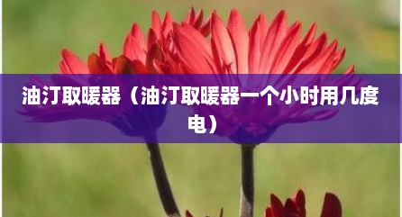 油汀取暖器（油汀取暖器一个小时用几度电）