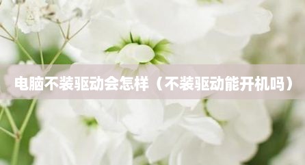 电脑不装驱动会怎样（不装驱动能开机吗）
