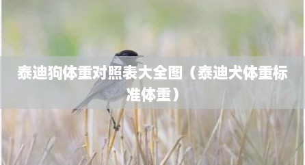 泰迪狗体重对照表大全图（泰迪犬体重标准体重）