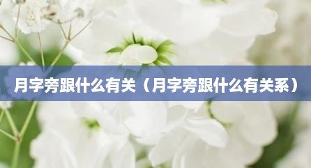 月字旁跟什么有关（月字旁跟什么有关系）