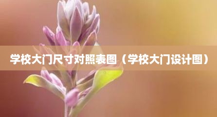 学校大门尺寸对照表图（学校大门设计图）