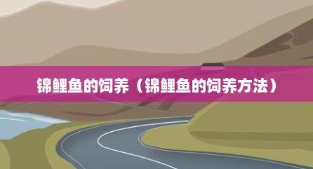 锦鲤鱼的饲养（锦鲤鱼的饲养方法）