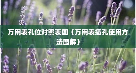 万用表孔位对照表图（万用表插孔使用方法图解）