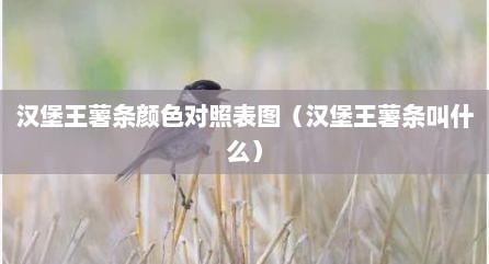 汉堡王薯条颜色对照表图（汉堡王薯条叫什么）