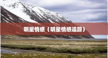 明星情感（明星情感追踪）