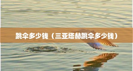 跳伞多少钱（三亚塔赫跳伞多少钱）