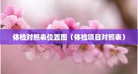 体检对照表位置图（体检项目对照表）