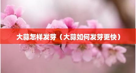 大蒜怎样发芽（大蒜如何发芽更快）