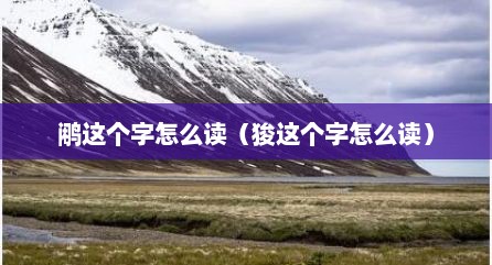 鹇这个字怎么读（狻这个字怎么读）