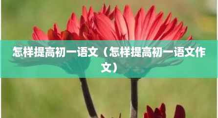 怎样提高初一语文（怎样提高初一语文作文）