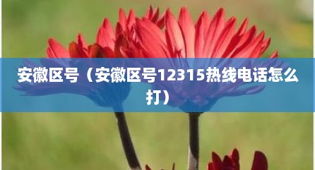 安徽区号（安徽区号12315热线电话怎么打）