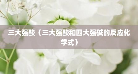 三大强酸（三大强酸和四大强碱的反应化学式）