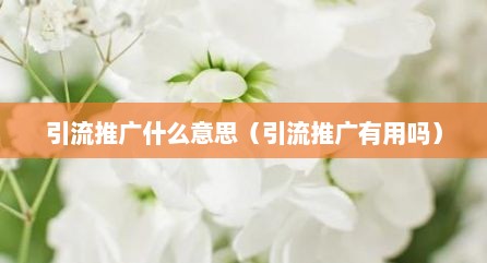 引流推广什么意思（引流推广有用吗）