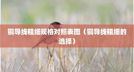 铜导线粗细规格对照表图（铜导线粗细的选择）