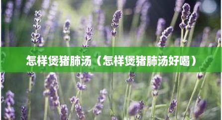 怎样煲猪肺汤（怎样煲猪肺汤好喝）