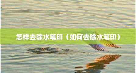 怎样去除水笔印（如何去除水笔印）