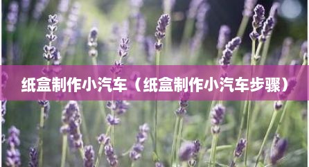 纸盒制作小汽车（纸盒制作小汽车步骤）