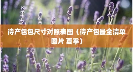 待产包包尺寸对照表图（待产包最全清单图片 夏季）
