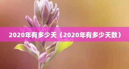 2020年有多少天（2020年有多少天数）