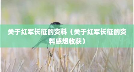 关于红军长征的资料（关于红军长征的资料感想收获）