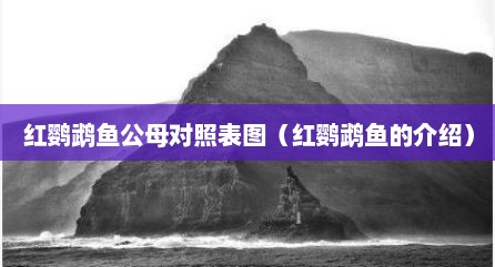 红鹦鹉鱼公母对照表图（红鹦鹉鱼的介绍）