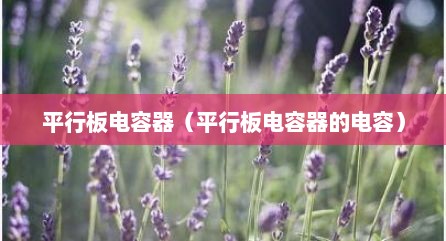 平行板电容器（平行板电容器的电容）
