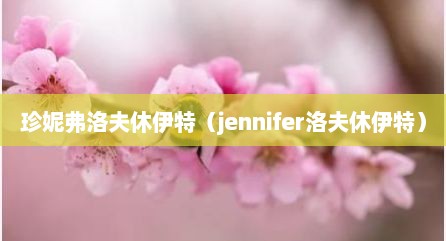 珍妮弗洛夫休伊特（jennifer洛夫休伊特）