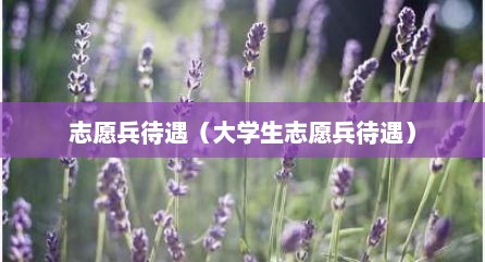 志愿兵待遇（大学生志愿兵待遇）
