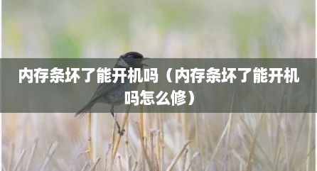 内存条坏了能开机吗（内存条坏了能开机吗怎么修）