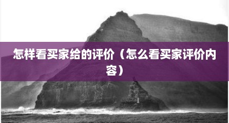 怎样看买家给的评价（怎么看买家评价内容）