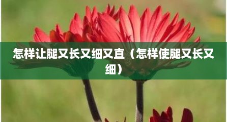 怎样让腿又长又细又直（怎样使腿又长又细）