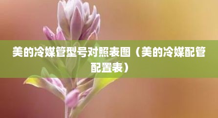 美的冷媒管型号对照表图（美的冷媒配管配置表）
